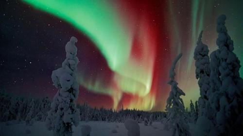 ｢オーロラ｣フィンランド, ラップランド (© Jorma Luhta/Minden Pictures) Bing Everyday Wallpaper 2017-12-23
/tmp/UploadBetaV9LoUQ [Bing Everyday Wall Paper 2017-12-23] url = http://www.bing.com/az/hprichbg/rb/LaplandAurora_JA-JP12070884927_1920x1080.jpg

File Size (KB): 335.65 KB
Last Modified: November 26 2021 17:16:23
