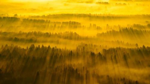 横跨塔尔图县的阳光，爱沙尼亚 (© Sven Zacek/Minden Pictures) Bing Everyday Wallpaper 2018-01-31
/tmp/UploadBetaQSoHre [Bing Everyday Wall Paper 2018-01-31] url = http://www.bing.com/az/hprichbg/rb/TartumaaEstonia_ZH-CN13968964399_1920x1080.jpg

File Size (KB): 221.46 KB
Last Modified: November 26 2021 18:34:59
