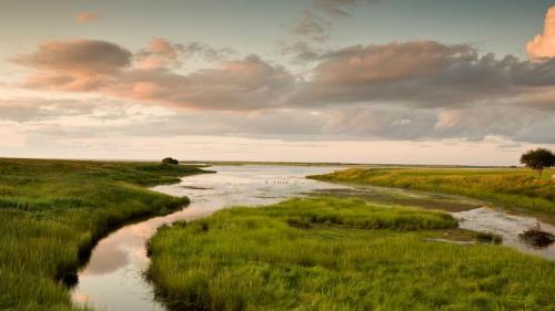 Marshland in Shediac, New Brunswick, Canada (© Paul Giamou/Aurora Photos) Bing Everyday Wallpaper 2018-05-25
/tmp/UploadBetagru9KD [Bing Everyday Wall Paper 2018-05-25] url = http://www.bing.com/az/hprichbg/rb/ShediacMarshland_ROW10694874486_1920x1080.jpg

File Size (KB): 334.82 KB
Last Modified: November 26 2021 18:35:07
