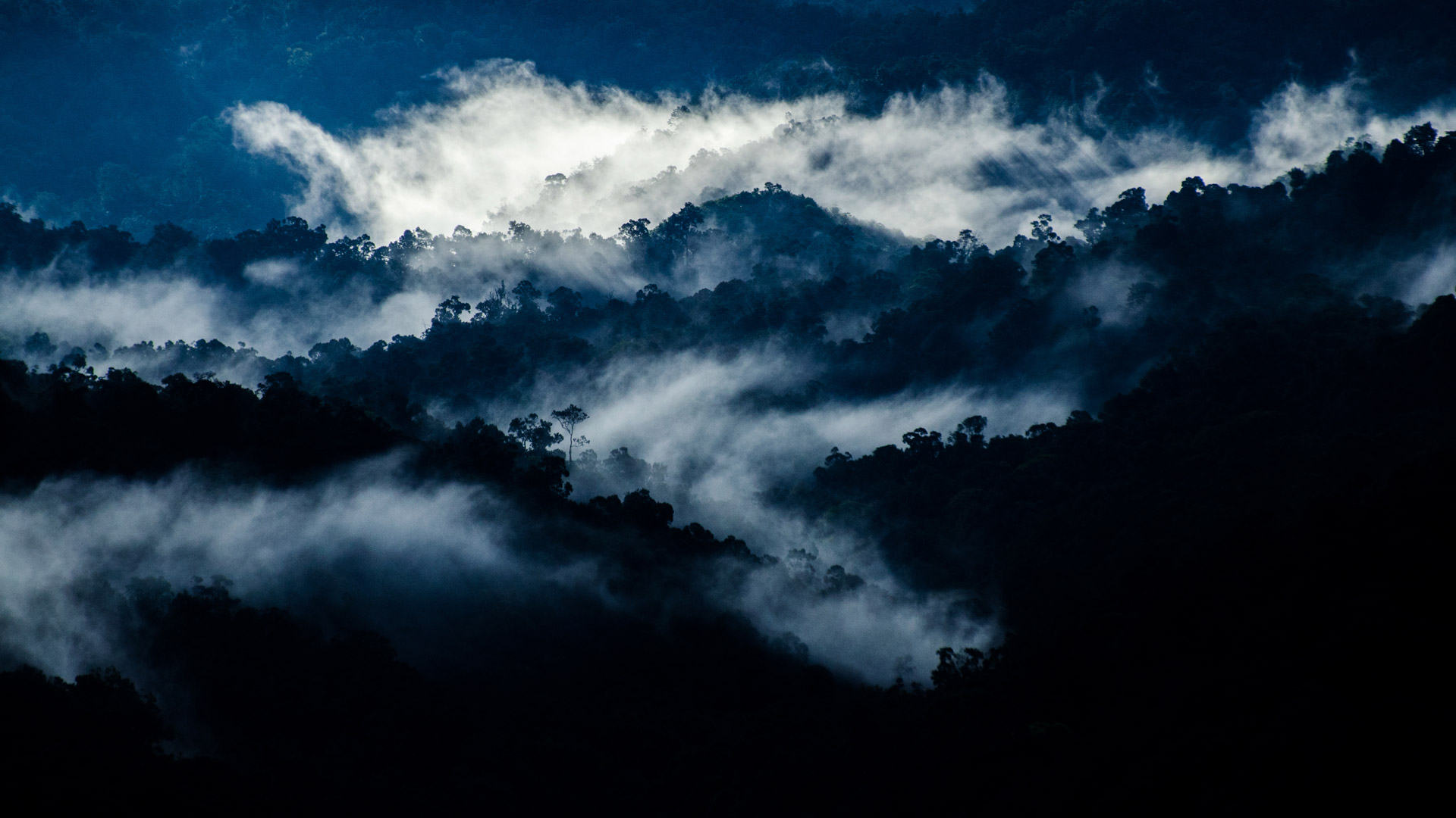 Rain forest near Valparai, Tamil Nadu, India (© Prasenjeet Yadav/Getty Images) Bing Everyday Wallpaper 2018-08-01, dyNGWx [Bing Everyday Wall Paper 2018-08-01] url = http://www.bing.com/az/hprichbg/rb/Valparai_ROW12859640316_1920x1080.jpg