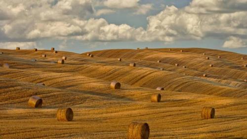 意大利托斯卡纳的干草垛 (© Chris Ryan/plainpicture) Bing Everyday Wallpaper 2018-09-04
/tmp/UploadBetaI2k7Cb [Bing Everyday Wall Paper 2018-09-04] url = http://www.bing.com/az/hprichbg/rb/RoundBales_ZH-CN8377464305_1920x1080.jpg

File Size (KB): 330.54 KB
Last Modified: November 26 2021 18:35:43
