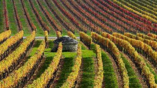 Vineyards in Burgundy, France (© Hans Strand/plainpicture) Bing Everyday Wallpaper 2018-09-06
/tmp/UploadBetaaAbFxs [Bing Everyday Wall Paper 2018-09-06] url = http://www.bing.com/az/hprichbg/rb/BurgundyVineyards_EN-GB11440624167_1920x1080.jpg

File Size (KB): 330.87 KB
Last Modified: November 26 2021 18:35:49
