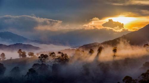 Mist over the forests of Idukki, Western Ghats, Kerala, India (© Getty Images) Bing Everyday Wallpaper 2018-09-15
/tmp/UploadBeta0rcynV [Bing Everyday Wall Paper 2018-09-15] url = http://www.bing.com/az/hprichbg/rb/Idukki_ROW13494136163_1920x1080.jpg

File Size (KB): 145.56 KB
Last Modified: November 26 2021 18:35:44
