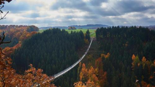 Geierlay suspension bridge, Saar-Hunsrueck-Steig, Hunsrueck, Rhineland-Palatinate, Germany (© Bernados/Westend61/plainpicture) Bing Everyday Wallpaper 2018-09-20
/tmp/UploadBetaMnfa0N [Bing Everyday Wall Paper 2018-09-20] url = http://www.bing.com/az/hprichbg/rb/GeierlayBruecke_ROW10122222019_1920x1080.jpg

File Size (KB): 311.77 KB
Last Modified: November 26 2021 18:35:48
