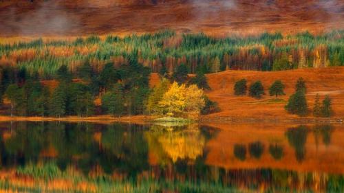 Larch trees at Loch Tulla in the Highlands of Scotland (© Fortunato Gatto/SIME/eStock Photo) Bing Everyday Wallpaper 2018-10-01
/tmp/UploadBetaYAUoiW [Bing Everyday Wall Paper 2018-10-01] url = http://www.bing.com/az/hprichbg/rb/LarchTrees_ROW10424368064_1920x1080.jpg

File Size (KB): 323.17 KB
Last Modified: November 26 2021 18:35:33
