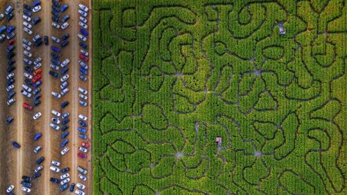 玉米迷宫，美国佩塔卢马  (© Gallery Stock) Bing Everyday Wallpaper 2018-10-27
/tmp/UploadBetaHunIcx [Bing Everyday Wall Paper 2018-10-27] url = http://www.bing.com/az/hprichbg/rb/CornMaze_ZH-CN12435268462_1920x1080.jpg

File Size (KB): 331.15 KB
Last Modified: November 26 2021 18:35:35
