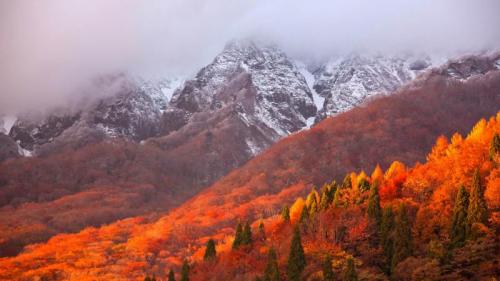 Berg Oyama vom Kagikake-toge-Pass aus betrachtet, Japan (© Katsuhiro Yamanashi/Getty Images) Bing Everyday Wallpaper 2018-10-29
/tmp/UploadBetaNSObx5 [Bing Everyday Wall Paper 2018-10-29] url = http://www.bing.com/az/hprichbg/rb/OyamaLeaves_DE-DE9925532450_1920x1080.jpg

File Size (KB): 316.35 KB
Last Modified: November 26 2021 18:35:29
