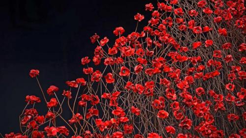 帝国战争博物馆北馆内的装置艺术‘Blood Swept Lands and Seas of Red’，英国曼彻斯特 (© Christopher Furlong/Getty Images) Bing Everyday Wallpaper 2018-11-11
/tmp/UploadBetaDUKAaE [Bing Everyday Wall Paper 2018-11-11] url = http://www.bing.com/az/hprichbg/rb/WavePoppy_ZH-CN9071800685_1920x1080.jpg

File Size (KB): 329.93 KB
Last Modified: November 26 2021 18:35:41
