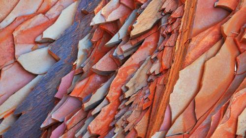 哈默斯利峡谷里的石头结构，澳大利亚 (© Frank Krahmer/Corbis Documentary/Getty Images) Bing Everyday Wallpaper 2018-11-12
/tmp/UploadBetaOWXQnc [Bing Everyday Wall Paper 2018-11-12] url = http://www.bing.com/az/hprichbg/rb/HamersleyGorge_ZH-CN6901064951_1920x1080.jpg

File Size (KB): 329.93 KB
Last Modified: November 26 2021 18:35:38
