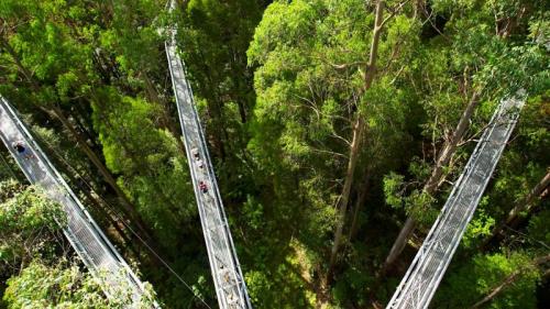 Otway Fly Treetop walkways, Australia (© David Wall/Alamy Stock Photo) Bing Everyday Wallpaper 2018-11-27
/tmp/UploadBetaMz4neR [Bing Everyday Wall Paper 2018-11-27] url = http://www.bing.com/az/hprichbg/rb/OtwayTreetop_EN-AU10029815466_1920x1080.jpg

File Size (KB): 331.28 KB
Last Modified: November 26 2021 18:35:42
