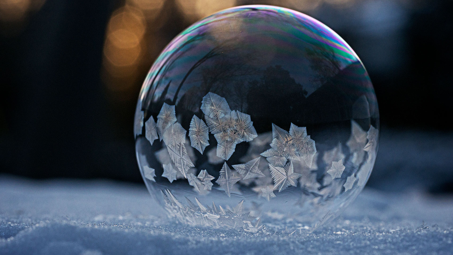 Macro shot of frozen soap bubble, Montreal, Canada (© Marianna Armata/Getty Images) Bing Everyday Wallpaper 2019-01-02, 6YMGZG [Bing Everyday Wall Paper 2019-01-02] url = http://www.bing.com/az/hprichbg/rb/FrozenBubble_ROW6975108803_1920x1080.jpg