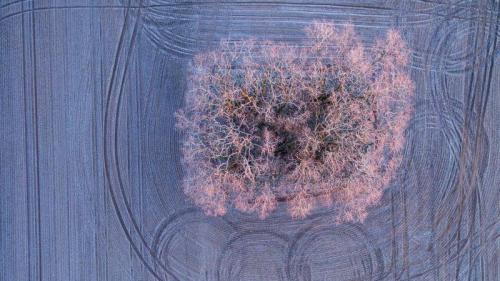 Warmes Licht der aufgehenden Morgensonne auf mit Frost bedeckten Bäumen auf einem Feld bei Jacobsdorf, Brandenburg, Deutschland (© picture alliance/Getty Images) Bing Everyday Wallpaper 2019-02-25
/tmp/UploadBetahytr4H [Bing Everyday Wall Paper 2019-02-25] url = http://www.bing.com/az/hprichbg/rb/BaumJacobsdorf_DE-DE6534419854_1920x1080.jpg

File Size (KB): 330.93 KB
Last Modified: November 26 2021 18:38:10

