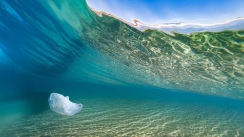 A plastic bag hovers underneath a breaking wave at the beach (© lindsay_imagery/iStock/Getty Images Plus) Bing Everyday Wallpaper 2019-03-03
/tmp/UploadBeta0lkjGC [Bing Everyday Wall Paper 2019-03-03] url = http://www.bing.com/az/hprichbg/rb/PlasticBagBeach_EN-AU1428951384_1920x1080.jpg

File Size (KB): 311.48 KB
Last Modified: November 26 2021 18:38:47
