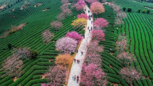 ｢永福桜花園｣中国, 福建省 (© VCG/Getty Images) Bing Everyday Wallpaper 2019-04-05
/tmp/UploadBetaWMPSjm [Bing Everyday Wall Paper 2019-04-05] url = http://www.bing.com/th?id=OHR.YongfuTown_JA-JP2057655047_1920x1080.jpg

File Size (KB): 333.69 KB
Last Modified: November 26 2021 18:37:55
