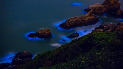 台湾妈祖群岛沿岸的发光藻类 (© Wan Ru Chen/Getty Images) Bing Everyday Wallpaper 2019-04-09
/tmp/UploadBetauZ31d9 [Bing Everyday Wall Paper 2019-04-09] url = http://www.bing.com/th?id=OHR.BlueTide_ZH-CN4055424992_1920x1080.jpg

File Size (KB): 331.75 KB
Last Modified: November 26 2021 18:37:58
