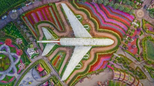 Dubai Miracle Garden, United Arab Emirates (© Amazing Aerial/Offset) Bing Everyday Wallpaper 2019-04-14
/tmp/UploadBetatmpPJM [Bing Everyday Wall Paper 2019-04-14] url = http://www.bing.com/th?id=OHR.MiracleGarden_EN-GB1481570714_1920x1080.jpg

File Size (KB): 333.84 KB
Last Modified: November 26 2021 18:37:55
