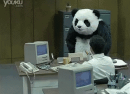 Crazy Panda Breaks Stuffs in Office