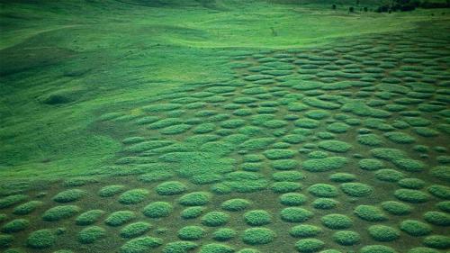 Mima mounds at Oregon’s Zumwalt Prairie, USA (© Michael Durham/Minden Pictures) Bing Everyday Wallpaper 2019-05-27
/tmp/UploadBetad1Pqqa [Bing Everyday Wall Paper 2019-05-27] url = http://www.bing.com/th?id=OHR.ZumwaltPrairie_EN-GB0207368991_1920x1080.jpg

File Size (KB): 332.42 KB
Last Modified: November 26 2021 18:38:32
