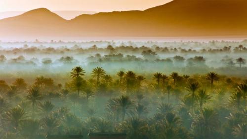 摩洛哥扎戈拉附近的椰枣树林 (© Frans Lemmens/Getty Images) Bing Everyday Wallpaper 2019-06-04
/tmp/UploadBeta6W8ffQ [Bing Everyday Wall Paper 2019-06-04] url = http://www.bing.com/th?id=OHR.VastPalmGrove_ZH-CN4145018538_1920x1080.jpg

File Size (KB): 328.55 KB
Last Modified: November 26 2021 18:39:36
