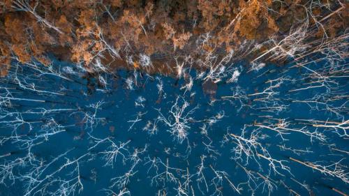 Advancetown Lake and forest, Gold Coast, Queensland, Australia (© AzmanL/E+/Getty Images) Bing Everyday Wallpaper 2019-06-08
/tmp/UploadBeta1GQKcL [Bing Everyday Wall Paper 2019-06-08] url = http://www.bing.com/th?id=OHR.AdvancetownLake_ROW5290894560_1920x1080.jpg

File Size (KB): 282.4 KB
Last Modified: November 26 2021 18:39:42
