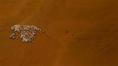 A flock of sheep in the Gobi Desert (© Patrick Baz/Getty Images) Bing Everyday Wallpaper 2019-07-17
/tmp/UploadBetaqjpn45 [Bing Everyday Wall Paper 2019-07-17] url = http://www.bing.com/th?id=OHR.GobiSheep_EN-GB9902512564_1920x1080.jpg

File Size (KB): 289.34 KB
Last Modified: November 26 2021 18:38:36
