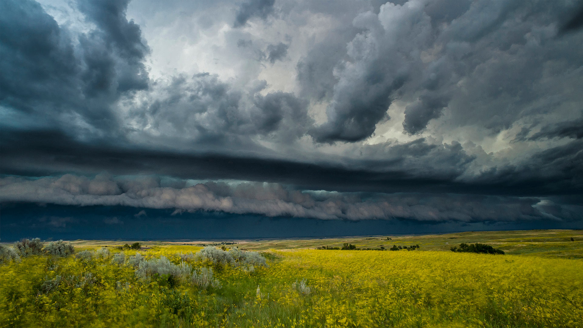 A thunderstorm rolls across Theodore Roosevelt National Park in North Dakota (© Judith Zimmerman/Danita Delimont) Bing Everyday Wallpaper 2019-08-12, IAMFzg [Bing Everyday Wall Paper 2019-08-12] url = http://www.bing.com/th?id=OHR.TRNPThunderstorm_EN-US4842762953_1920x1080.jpg