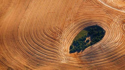 华盛顿州帕卢斯地区的农田 (© Art Wolfe/Getty Images) Bing Everyday Wallpaper 2019-08-23
/tmp/UploadBeta0ueBhT [Bing Everyday Wall Paper 2019-08-23] url = http://www.bing.com/th?id=OHR.FarmlandLandscape_ZH-CN8021236701_1920x1080.jpg

File Size (KB): 332.62 KB
Last Modified: November 26 2021 18:39:00
