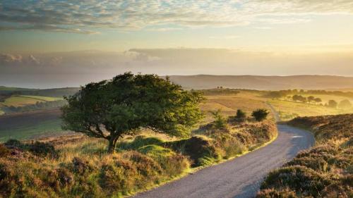 Stoke Pero Common, Exmoor National Park, England, UK (© David Noton/Alamy) Bing Everyday Wallpaper 2019-09-16
/tmp/UploadBetavkl3gi [Bing Everyday Wall Paper 2019-09-16] url = http://www.bing.com/th?id=OHR.StokePero_EN-AU9095489777_1920x1080.jpg

File Size (KB): 327.58 KB
Last Modified: November 26 2021 18:39:27
