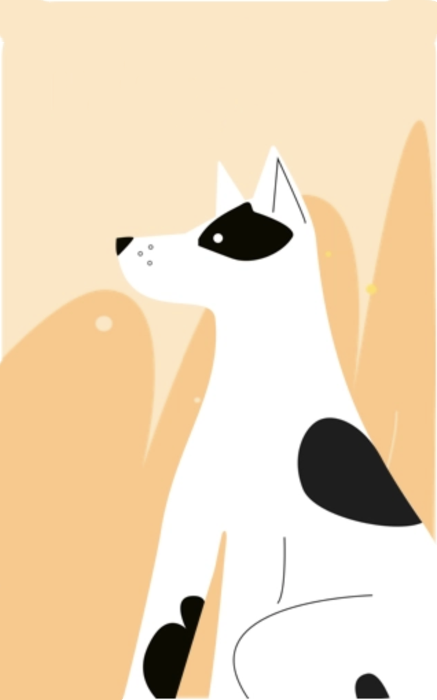 catimage, cat.png [Animals]