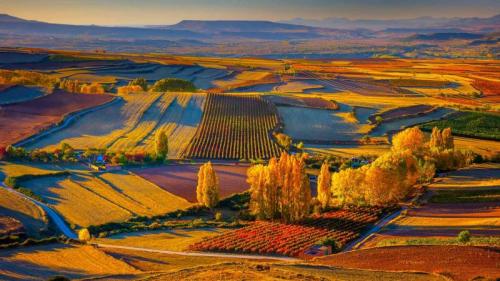 班牙里奥哈区克拉维霍镇附近的秋日景色 (© Olimpio Fantuz/eStock Photo) Bing Everyday Wallpaper 2019-09-29
/tmp/UploadBeta1CLdlY [Bing Everyday Wall Paper 2019-09-29] url = http://www.bing.com/th?id=OHR.ClavijoLandscape_ZH-CN1525245124_1920x1080.jpg

File Size (KB): 327.65 KB
Last Modified: November 26 2021 18:39:25
