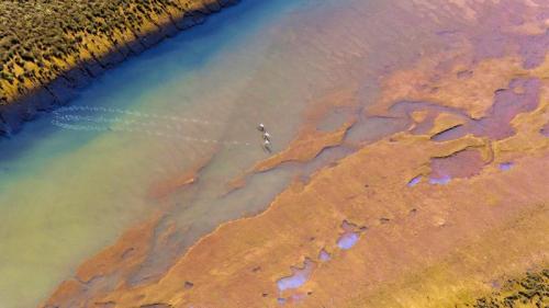 韦尔瓦奥迪尔湿地起飞的三只大红鹳，西班牙安达卢西亚 (© Óscar Díez/Minden Pictures) Bing Everyday Wallpaper 2019-10-07
/tmp/UploadBetawnVFun [Bing Everyday Wall Paper 2019-10-07] url = http://www.bing.com/th?id=OHR.GreaterFlamingo_ZH-CN2596334768_1920x1080.jpg

File Size (KB): 315.49 KB
Last Modified: November 26 2021 18:39:10
