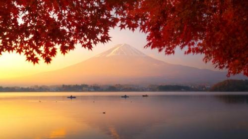 ｢河口湖から見た朝焼けの富士山｣山梨 (© Tai GinDa/Getty images) Bing Everyday Wallpaper 2019-10-08
/tmp/UploadBeta7DMzCh [Bing Everyday Wall Paper 2019-10-08] url = http://www.bing.com/th?id=OHR.Kanrofuji_JA-JP3657536874_1920x1080.jpg

File Size (KB): 296.84 KB
Last Modified: November 26 2021 18:39:11
