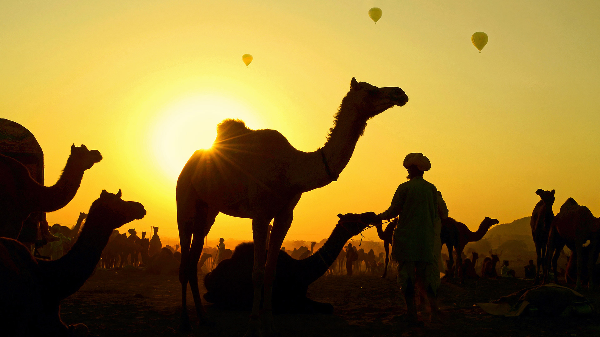 普什卡骆驼节上的骆驼与牧民，印度拉贾斯坦邦 (© Anand Purohit/Getty Images) Bing Everyday Wallpaper 2019-11-05, B5fS2v [Bing Everyday Wall Paper 2019-11-05] url = http://www.bing.com/th?id=OHR.CamelsBalloons_ZH-CN3086626309_1920x1080.jpg