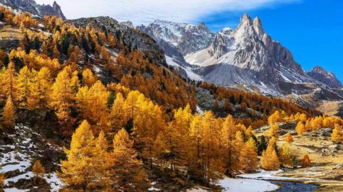 Clarée Valley, Massif des Cerces, Hautes-Alpes, France (© Franck Guiziou/Alamy) Bing Everyday Wallpaper 2019-11-06
/tmp/UploadBetahYfLNu [Bing Everyday Wall Paper 2019-11-06] url = http://www.bing.com/th?id=OHR.FallWinter_ROW0879967901_1920x1080.jpg

File Size (KB): 328.02 KB
Last Modified: November 26 2021 18:39:24
