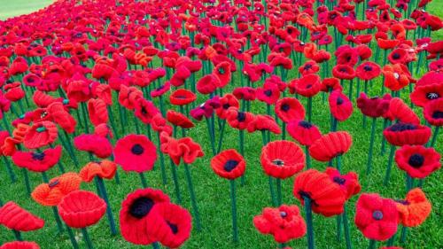 2018 Remembrance Day Poppy Project display of handcrafted poppies in Kings Park, Perth (© domonabike/Alamy Stock Photo) Bing Everyday Wallpaper 2019-11-11
/tmp/UploadBetaUyJonk [Bing Everyday Wall Paper 2019-11-11] url = http://www.bing.com/th?id=OHR.PoppyProject_EN-AU7024619548_1920x1080.jpg

File Size (KB): 253.83 KB
Last Modified: November 26 2021 18:39:23
