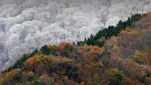 ｢雪と紅葉｣徳島 (© SpontaneousPictures/iStock/Getty Images Plus) Bing Everyday Wallpaper 2019-11-22
/tmp/UploadBetaWJV2lF [Bing Everyday Wall Paper 2019-11-22] url = http://www.bing.com/th?id=OHR.KochiFall_JA-JP9295593217_1920x1080.jpg

File Size (KB): 314.64 KB
Last Modified: November 26 2021 18:39:19
