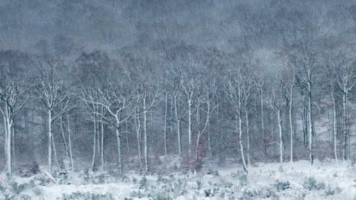 银装素裹的Luzulo-Fagetum山毛榉林，比利时阿登 (© Philippe Moes/Alamy) Bing Everyday Wallpaper 2019-12-15
/tmp/UploadBetaRlwAmR [Bing Everyday Wall Paper 2019-12-15] url = http://www.bing.com/th?id=OHR.NutsWeekend_ZH-CN7847508117_1920x1080.jpg

File Size (KB): 328.57 KB
Last Modified: November 26 2021 18:38:11
