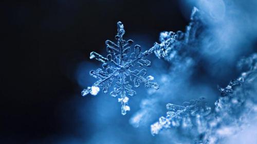 雪花 (© TothGaborGyula/Getty Images Plus) Bing Everyday Wallpaper 2019-12-21
/tmp/UploadBetaFLBScB [Bing Everyday Wall Paper 2019-12-21] url = http://www.bing.com/th?id=OHR.RealSnowflake_ZH-CN5687037252_1920x1080.jpg

File Size (KB): 322.51 KB
Last Modified: November 26 2021 18:38:11
