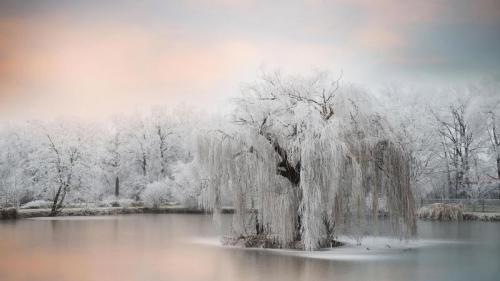 池塘边结了冰的树 (© Philippe Sainte-Laudy Photography/Getty Images) Bing Everyday Wallpaper 2019-12-27
/tmp/UploadBetaFq0HxD [Bing Everyday Wall Paper 2019-12-27] url = http://www.bing.com/th?id=OHR.FrozenTree_ZH-CN9591258534_1920x1080.jpg

File Size (KB): 322.24 KB
Last Modified: November 26 2021 18:38:17
