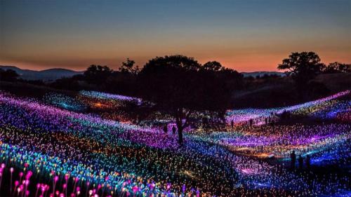 'Field of Light at Sensorio,' by Bruce Munro, Paso Robles, California (© George Rose/Getty Images) Bing Everyday Wallpaper 2020-01-03
/tmp/UploadBetayFdUCt [Bing Everyday Wall Paper 2020-01-03] url = http://www.bing.com/th?id=OHR.MunroLight_EN-AU0984035207_1920x1080.jpg

File Size (KB): 317.6 KB
Last Modified: November 26 2021 18:36:30
