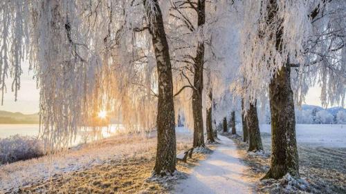 施塔弗尔湖畔乌芬附近的桦树大道，德国巴伐利亚 (© Reinhard Schmid/eStock Photo) Bing Everyday Wallpaper 2020-02-21
/tmp/UploadBetaAVYLNV [Bing Everyday Wall Paper 2020-02-21] url = http://www.bing.com/th?id=OHR.UffingStaffelseeWinter_ZH-CN4001263375_1920x1080.jpg

File Size (KB): 331.02 KB
Last Modified: November 26 2021 18:36:05
