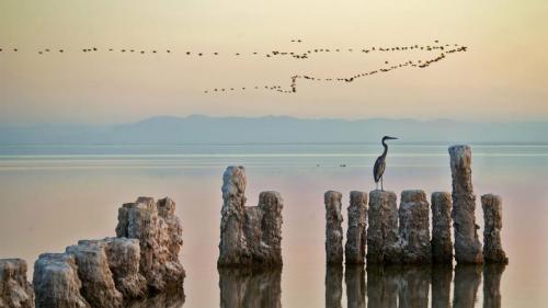 Ein Reiher hockt auf einem Pfahl am Saltonsee in Kalifornien, USA (© Garret Suhrie/Cavan Images) Bing Everyday Wallpaper 2020-03-13
/tmp/UploadBetafYrjXd [Bing Everyday Wall Paper 2020-03-13] url = http://www.bing.com/th?id=OHR.SaltonSea_DE-DE5631043516_1920x1080.jpg

File Size (KB): 323.16 KB
Last Modified: November 26 2021 18:36:57
