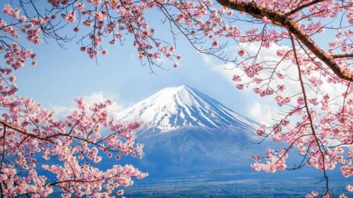 ｢富士山と桜｣山梨, 河口湖 (©  DoctorEgg/Getty Images) Bing Everyday Wallpaper 2020-03-27
/tmp/UploadBetaGnj7OW [Bing Everyday Wall Paper 2020-03-27] url = http://www.bing.com/th?id=OHR.FujisanSakura_JA-JP3809885112_1920x1080.jpg

File Size (KB): 327.45 KB
Last Modified: November 26 2021 18:37:02
