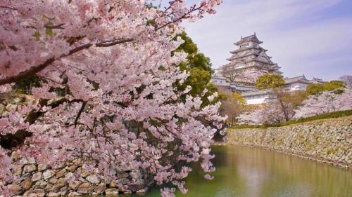 盛开的樱花和姬路城，日本姬路 (© Tororo/Getty Images) Bing Everyday Wallpaper 2020-04-06
/tmp/UploadBetaBiuqQw [Bing Everyday Wall Paper 2020-04-06] url = http://www.bing.com/th?id=OHR.CastleDay_ZH-CN8752542375_1920x1080.jpg

File Size (KB): 325.82 KB
Last Modified: November 26 2021 18:36:03
