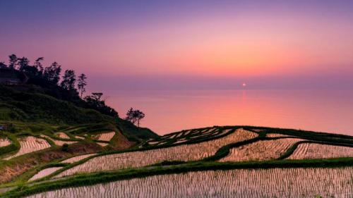 ｢白米千枚田の夕日｣石川, 輪島市 (©  M Andy/Shutterstock) Bing Everyday Wallpaper 2020-04-19
/tmp/UploadBeta60Dz2r [Bing Everyday Wall Paper 2020-04-19] url = http://www.bing.com/th?id=OHR.KokuField_JA-JP3310137986_1920x1080.jpg

File Size (KB): 304.8 KB
Last Modified: November 26 2021 18:36:02
