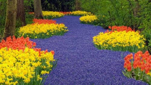 Keukenhof in Lisse, Netherlands (© Jim Zuckerman/Getty Images) Bing Everyday Wallpaper 2020-04-20
/tmp/UploadBetay2jMzw [Bing Everyday Wall Paper 2020-04-20] url = http://www.bing.com/th?id=OHR.GardenHolland_EN-AU0510043771_1920x1080.jpg

File Size (KB): 328.91 KB
Last Modified: November 26 2021 18:36:02
