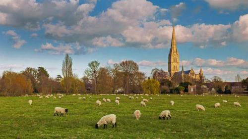 索尔茲伯里大教堂与放牧的羊群，英格兰 (© Slawek Staszczuk Photo/Alamy) Bing Everyday Wallpaper 2020-04-28
/tmp/UploadBetaBcjRrZ [Bing Everyday Wall Paper 2020-04-28] url = http://www.bing.com/th?id=OHR.SalisburyCathedral_ZH-CN6366350896_1920x1080.jpg

File Size (KB): 326.68 KB
Last Modified: November 26 2021 18:36:00
