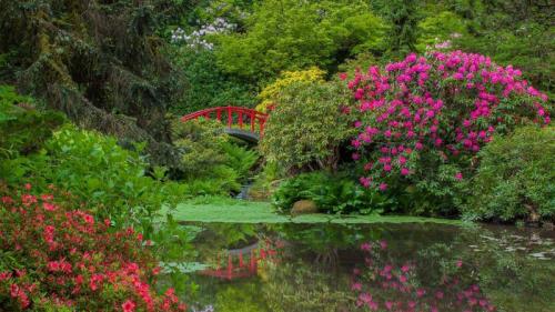 Rhododendrons and azaleas blooming around the Moon Bridge, Kubota Garden, Seattle, Washington (© Mary Liz Austin/Alamy) Bing Everyday Wallpaper 2020-05-02
/tmp/UploadBeta7FoO7l [Bing Everyday Wall Paper 2020-05-02] url = http://www.bing.com/th?id=OHR.KubotaGarden_EN-US5986864816_1920x1080.jpg

File Size (KB): 309.67 KB
Last Modified: November 26 2021 18:36:36
