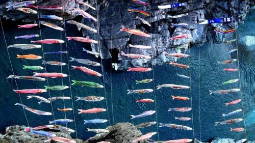 ｢大歩危峡のこいのぼり｣徳島県, 三好市 (© Photo by The Asahi Shimbun via Getty Images) Bing Everyday Wallpaper 2020-05-05
/tmp/UploadBeta59W9rm [Bing Everyday Wall Paper 2020-05-05] url = http://www.bing.com/th?id=OHR.RiverKoi_JA-JP2966641377_1920x1080.jpg

File Size (KB): 288.97 KB
Last Modified: November 26 2021 18:36:40
