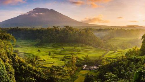 以阿贡火山为背景Sidemen山谷中的稻田，印度尼西亚巴厘岛 (© Jon Arnold/Danita Delimont) Bing Everyday Wallpaper 2020-05-14
/tmp/UploadBetaAlfFKz [Bing Everyday Wall Paper 2020-05-14] url = http://www.bing.com/th?id=OHR.BaliRiceHarvest_ZH-CN9267319542_1920x1080.jpg

File Size (KB): 325.98 KB
Last Modified: November 26 2021 18:36:38
